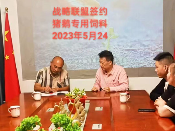 喬生科技戰(zhàn)略聯(lián)盟食葉草專用豬鵝飼料在2023年5月24合作簽約