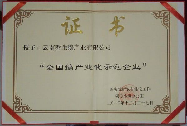 湖南喬生科技有限公司,污染水體還原,鵝特色產(chǎn)業(yè)化,高新技術(shù)研發(fā),新能源產(chǎn)品銷售,科技信息咨詢服務(wù)